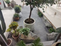-喜茶(珠海华发商都店)