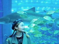 -成都浩海立方海洋公园