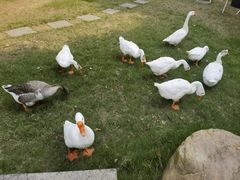 -上海影视乐园