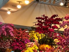 -双季花艺园艺市场(浦东店)