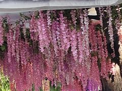 -木子塘汗蒸生活馆(财富港店)