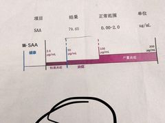 -北京赛佳动物医院