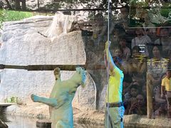 -清迈夜间动物园