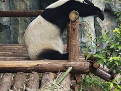 -泉州海丝野生动物世界