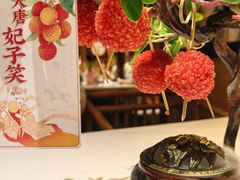 大唐妃子笑-唐猫庭院·千年陕菜(大唐不夜城店)