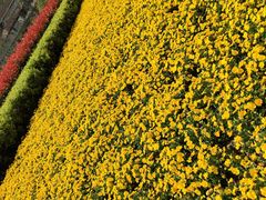 -宜昌富力皇冠假日酒店·咖啡1号西餐厅