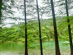 -四明山国家森林公园