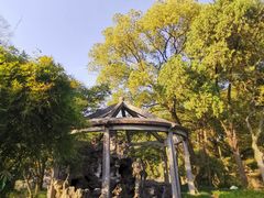 -叶家花园