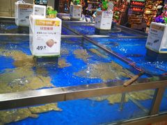 水产区-盒马鲜生(财富中心店)