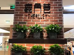 门面-鹿角巷The Alley(龙湖天街店)