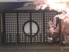 -白兔子密室(长寿路店)