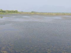 -野鸭湖国家湿地公园