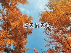 -汉景帝阳陵博物院