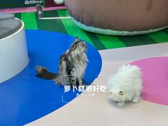 -PO PARK东方宝泰