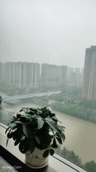 -涌泉妈咪树通乳·产后恢复