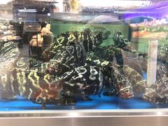 -盒马鲜生(龙德广场店)