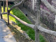 -丹山赤水风景名胜区