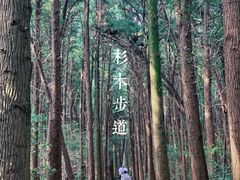 -同里国家湿地公园