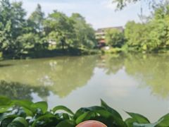 -西溪国家湿地公园