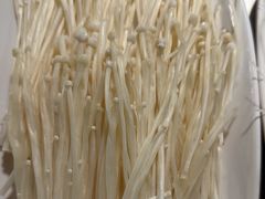 -马记伊源斋涮肉·清真菜(潘家园古玩市场店)