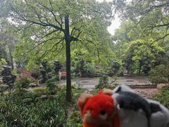 -南山植物园