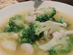 -Aqua Oasis 水天堂(石路天虹店)