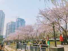 -喷泉公园