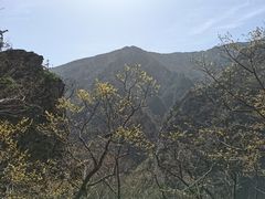 -牛背梁国家森林公园