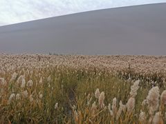 -敦煌楼(御景·阳光润园店)