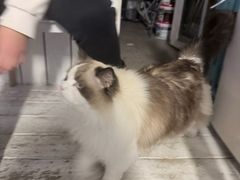 -小时光咖啡馆(北锣鼓巷店)