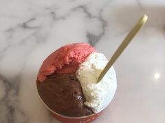 青浦奶油草莓-Dal Cuore 达可芮冰淇淋(陕西北路店)