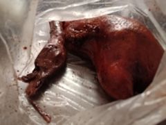 酱鸭-沧盛饮食店(临汾路店)