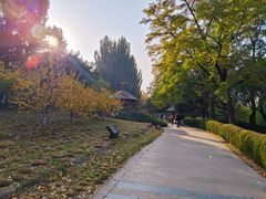 -元大都城垣遗址公园