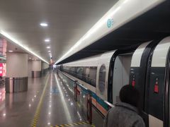 -龙阳路磁悬浮列车总站-停车场