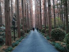 -上海怡沁园度假酒店