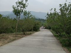 -北京西山国家森林公园