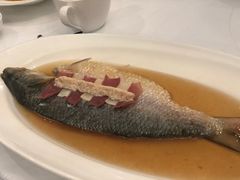 陈年花雕蒸鲥鱼-福1088