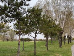 -龙熙温泉高尔夫俱乐部