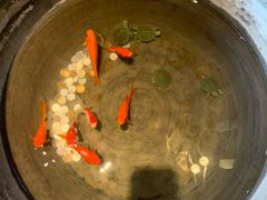 -大海碗·京菜炸酱面(雍和宫店)