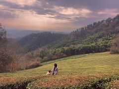 -敬亭山风景名胜区