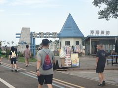 -空港花田景区