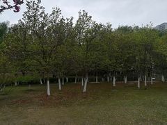 -白塘生态植物园