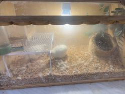 -初八手工DIY陶艺馆(初八陶社)