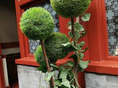 -阿西娅食府(中关村店)