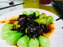-圆苑(上海广场店)