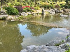 -东莞植物园