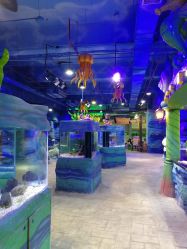 -酷嗒动物文化乐园(cutezoo西溪乐天城店)