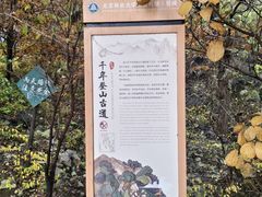 -北京鹫峰国家森林公园