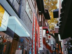 -山城巷传统风貌区