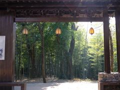 -西湖风景区十里琅珰-五云山